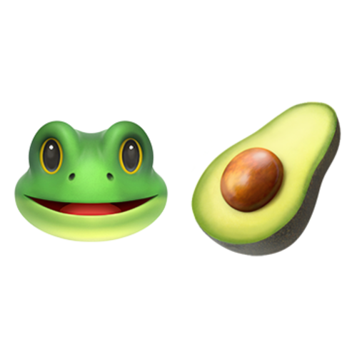 Image result for avocado frog