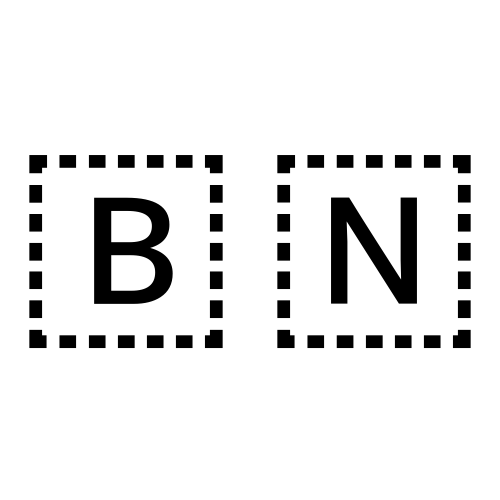 🇧🇳 Emoji Domain black and white Symbola rendering