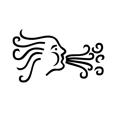 🌬 Emoji Domain black and white Symbola rendering