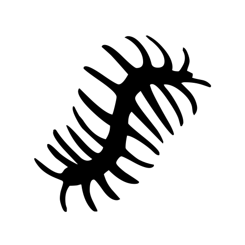 🐛 Emoji Domain black and white Symbola rendering