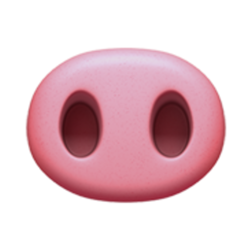 🐽 Emoji Domain iOS rendering