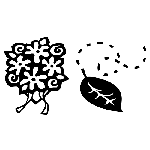 💐🍃 Emoji Domain black and white Symbola rendering