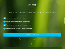 📼.ws emoji domain screenshot